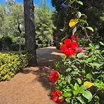 Hotel Athena Mare